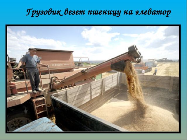 Как хлеб на наш стол пришёл? Презентация по ознакомлению с окружающим миром