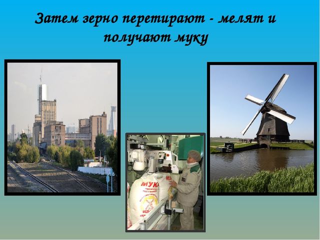 Как хлеб на наш стол пришёл? Презентация по ознакомлению с окружающим миром