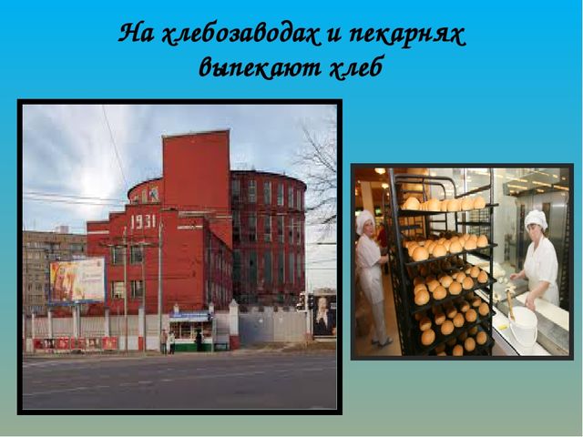Как хлеб на наш стол пришёл? Презентация по ознакомлению с окружающим миром