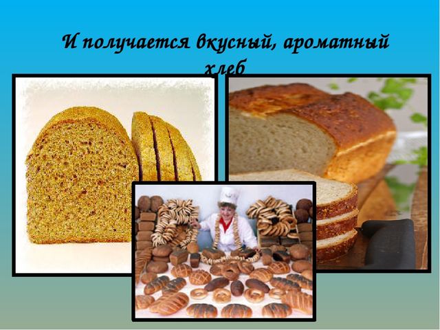 Как хлеб на наш стол пришёл? Презентация по ознакомлению с окружающим миром