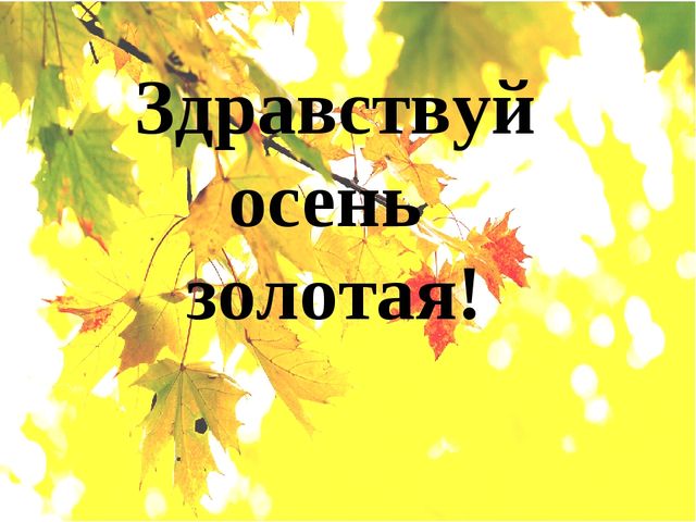 Здравствуй осень золотая. Презентация для детей