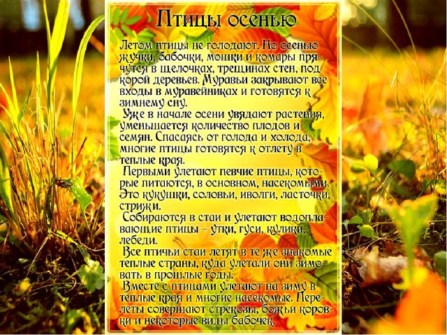 Здравствуй осень золотая. Презентация для детей