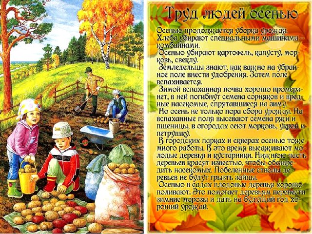 Здравствуй осень золотая. Презентация для детей