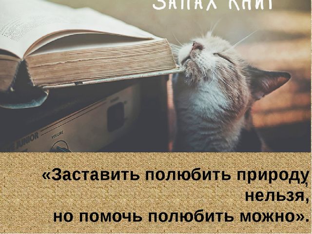 Барсучий нос. Презентация рассказа К. Паустовского