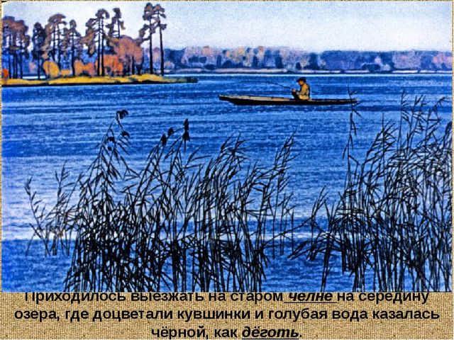 Барсучий нос. Презентация рассказа К. Паустовского
