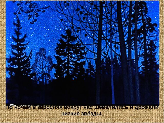 Барсучий нос. Презентация рассказа К. Паустовского