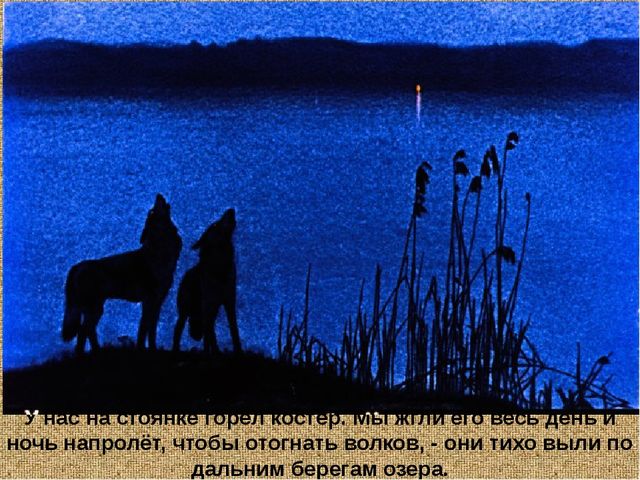 Барсучий нос. Презентация рассказа К. Паустовского