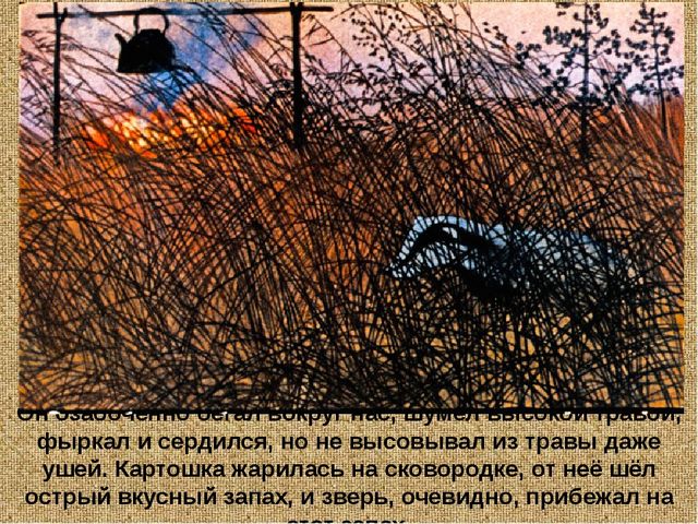 Барсучий нос. Презентация рассказа К. Паустовского