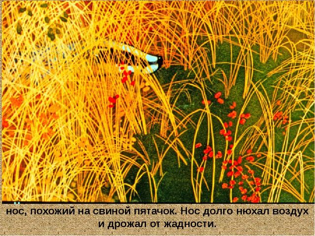 Барсучий нос. Презентация рассказа К. Паустовского