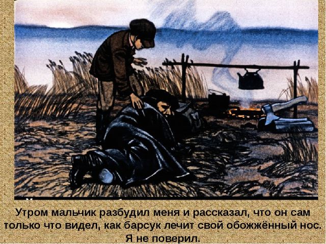 Барсучий нос. Презентация рассказа К. Паустовского