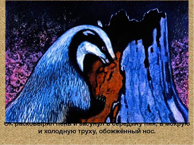 Барсучий нос. Презентация рассказа К. Паустовского