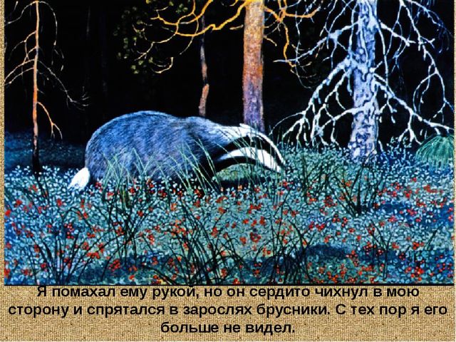 Барсучий нос. Презентация рассказа К. Паустовского