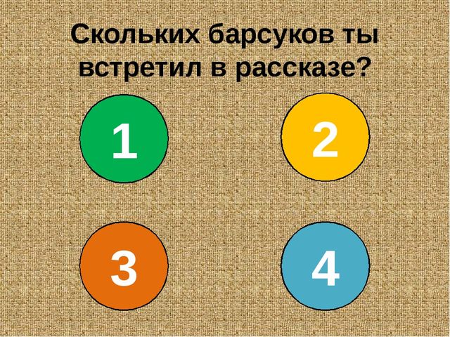 Барсучий нос. Презентация рассказа К. Паустовского