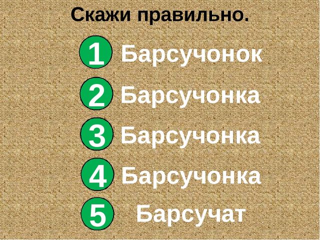Барсучий нос. Презентация рассказа К. Паустовского