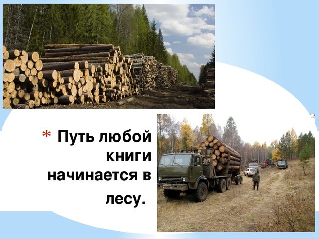 Откуда пришла книга (подготовительная группа)