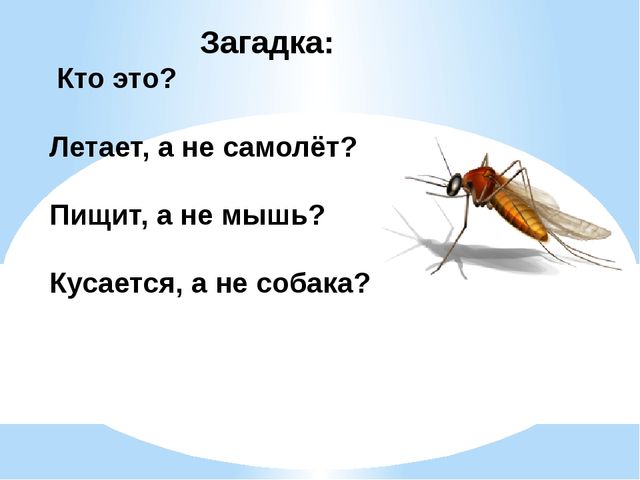 Повышение профессиональной компетентности педагогов по вопросам развития речи дошкольников
