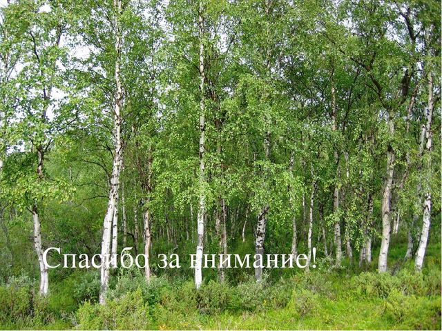 Презентация. Духовно - нравственное воспитание