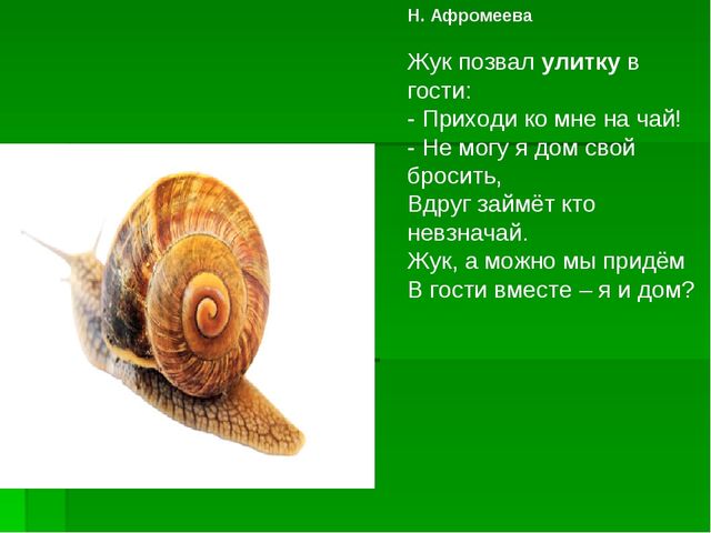 Улитка. Презентация для детей