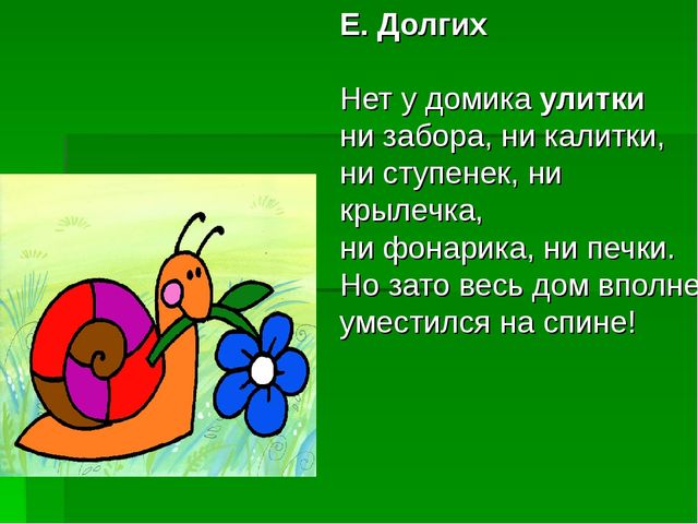 Улитка. Презентация для детей