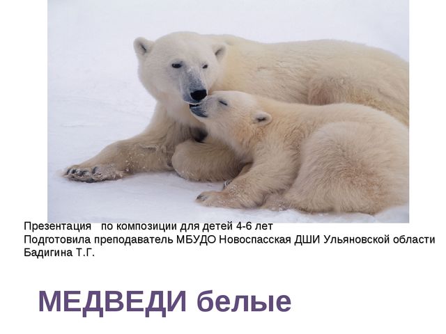 Белый медведь. Презентация для детей