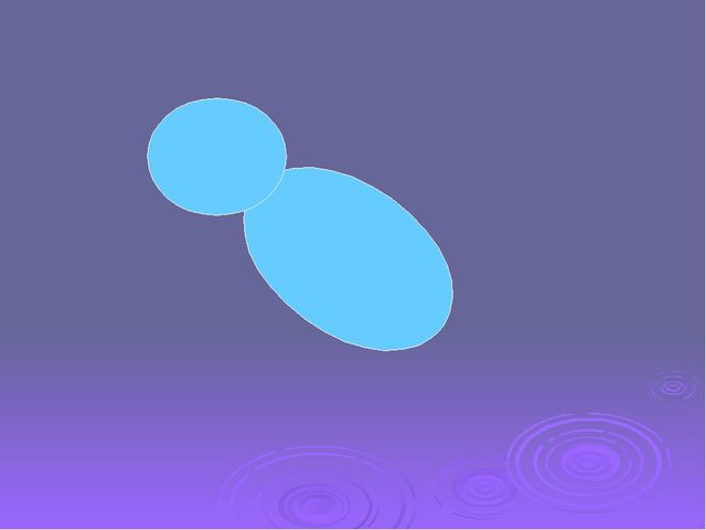 Подсолнушек. Презентация для детей