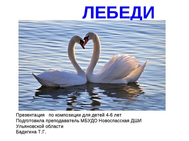 Лебеди. Презентация
