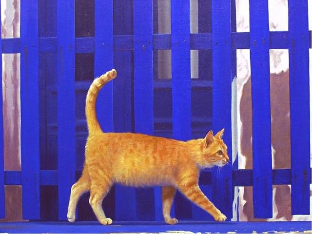 Кот на заборе. Презентация
