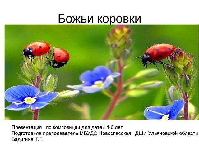 Божьи коровки. Презентация для детей