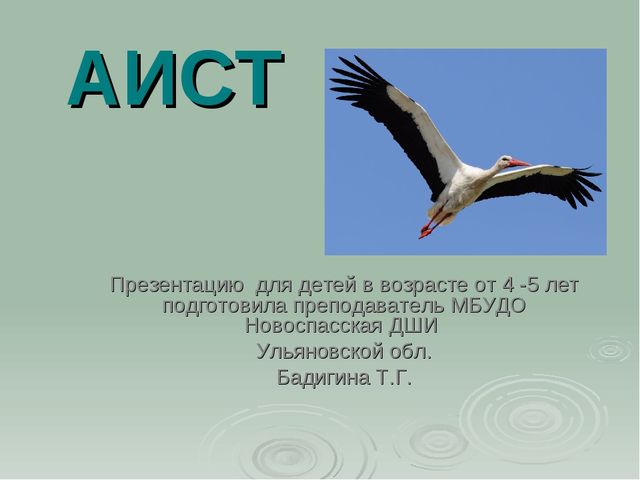 Аист. Презентация для детей