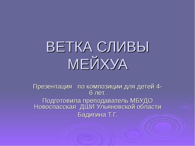Ветка сливы мейхуа. Презентация для детей