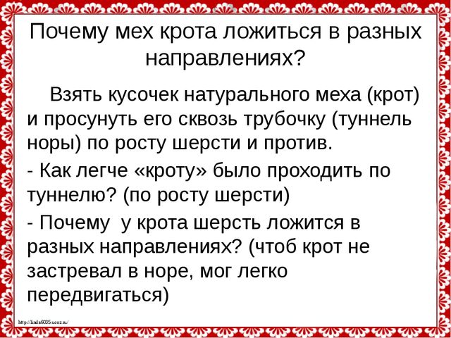 Слепые землекопы. Презентация