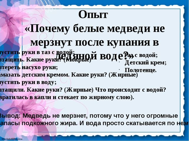 Презентация для детей. Белые медведи