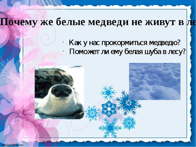 Презентация для детей. Белые медведи