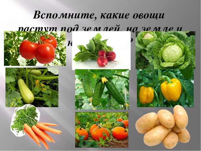 Пространственные отношения: на, над, под. Презентация по математике для детей (5-6 лет)