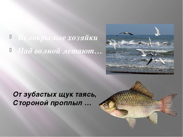 Пространственные отношения: на, над, под. Презентация по математике для детей (5-6 лет)