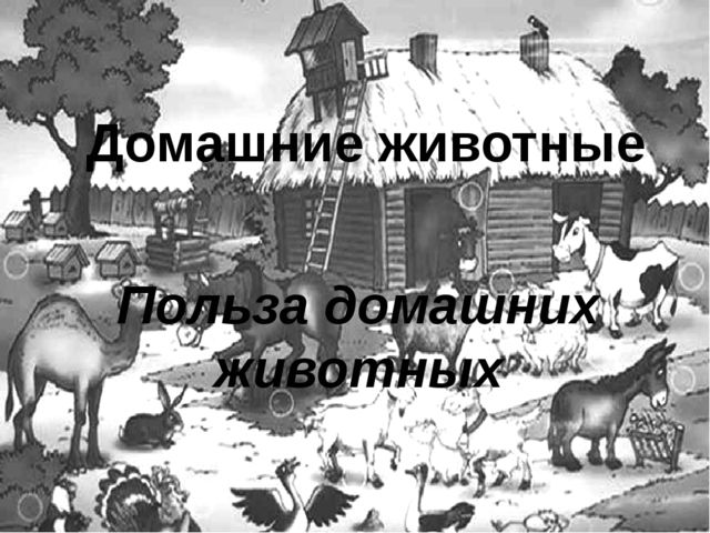 Презентация для детей по знакомству с домашними животными