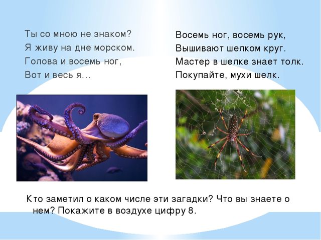 Число 8. Цифра 8. Презентация по математике (6-7 лет)