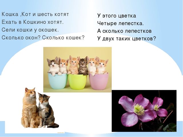 Число 8. Цифра 8. Презентация по математике (6-7 лет)
