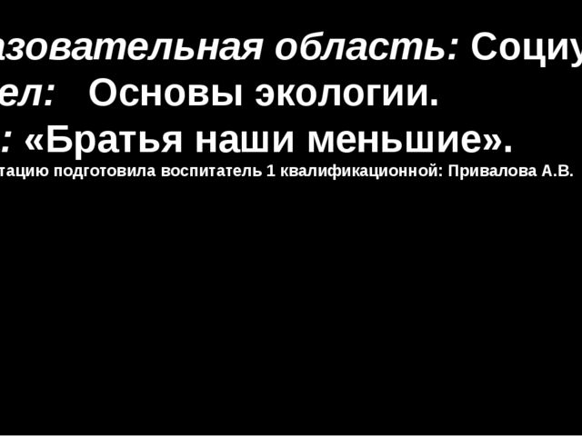 Братья наши меньшие. Презентация к занятию по экологии для старшей группы
