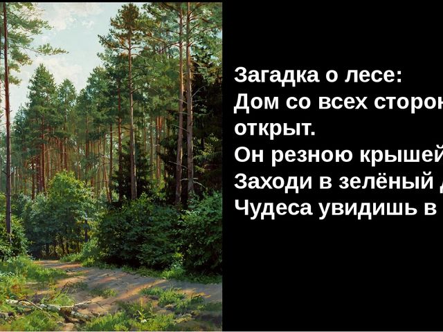 Братья наши меньшие. Презентация к занятию по экологии для старшей группы