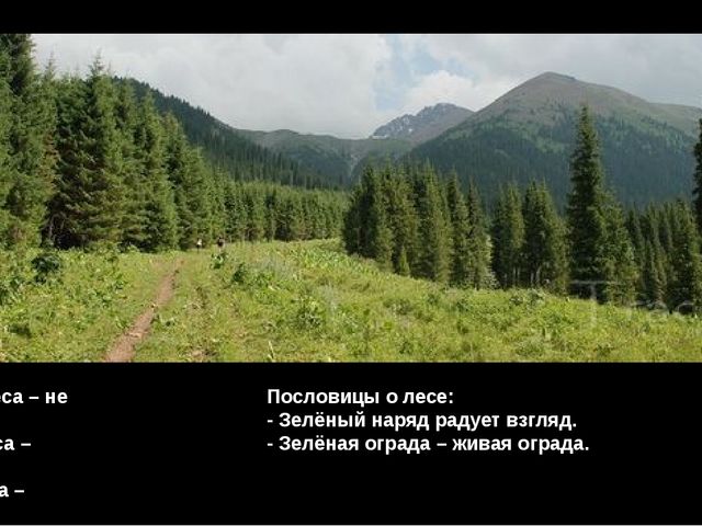 Братья наши меньшие. Презентация к занятию по экологии для старшей группы