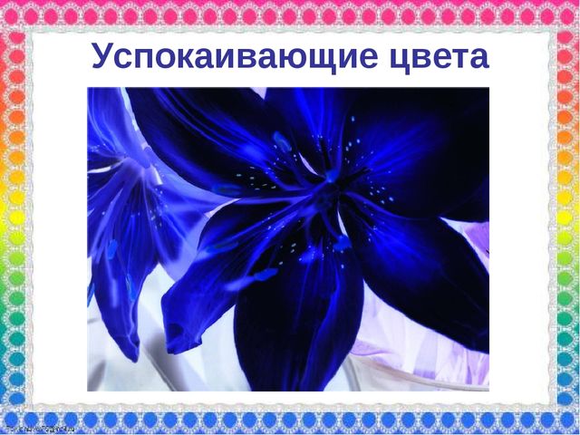 О роли ЦВЕТА в жизни человека