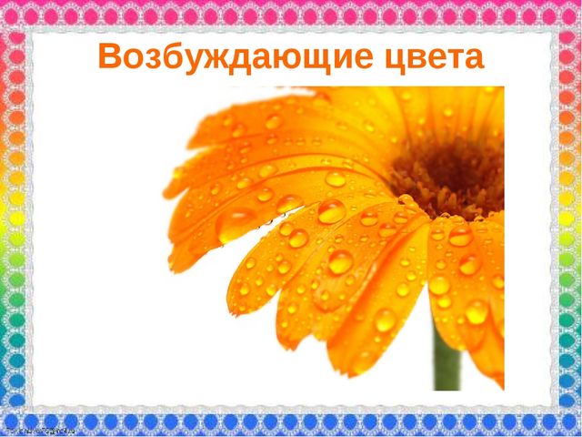 О роли ЦВЕТА в жизни человека