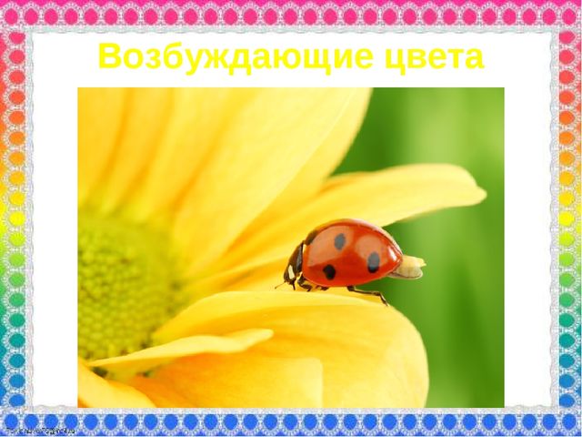 О роли ЦВЕТА в жизни человека