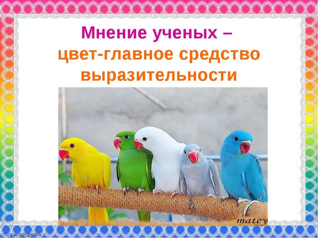 О роли ЦВЕТА в жизни человека