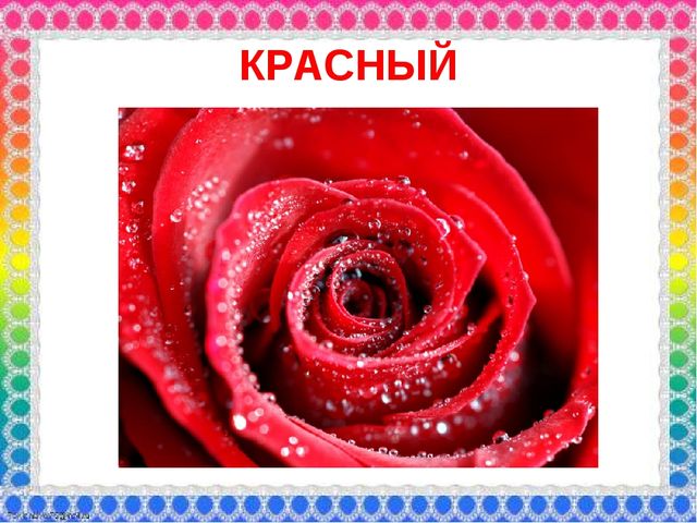 О роли ЦВЕТА в жизни человека