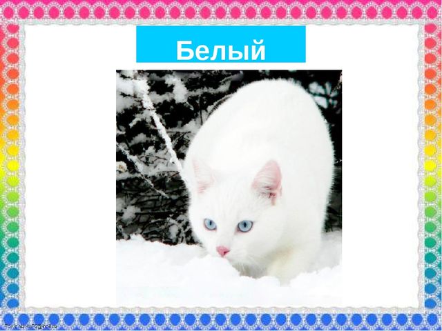 О роли ЦВЕТА в жизни человека
