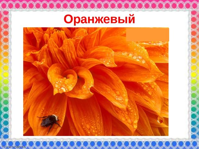 О роли ЦВЕТА в жизни человека