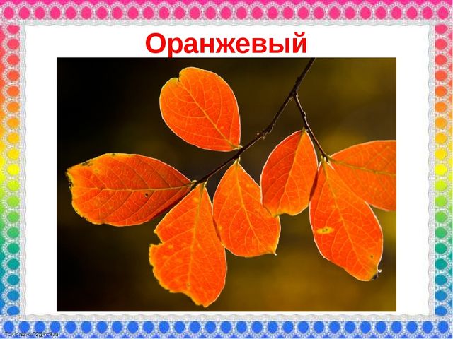 О роли ЦВЕТА в жизни человека