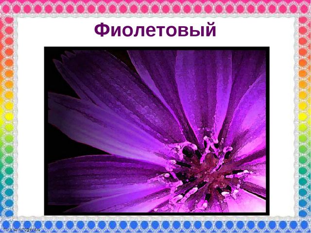 О роли ЦВЕТА в жизни человека